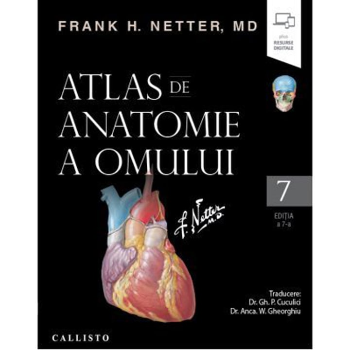 netter atlas anatomie